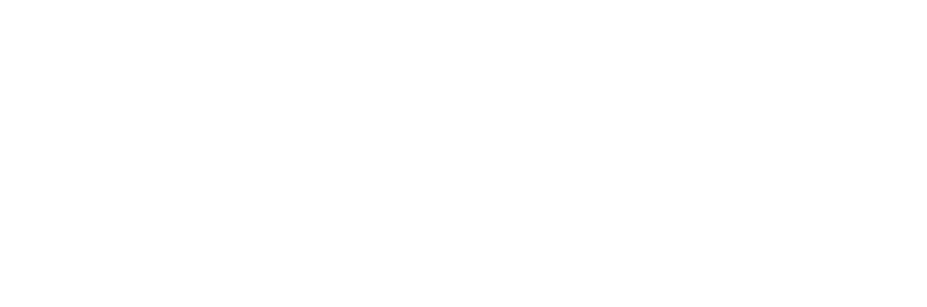 Adisyonist